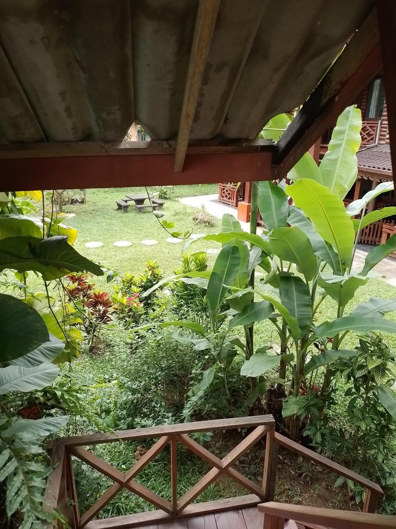 Namsong Bridge Bungalows Vang Vieng Eksteriør bilde